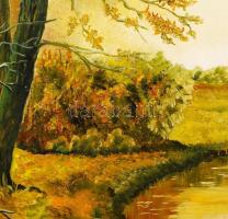Bánát Klára: Őszi táj. Olaj, farost, jelzett, 45x32 cm
