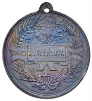 Ausztria 1916. "Ferenc József 1830-1916 / 1916. november 21." fém emlékérem (33mm) T:2-
Au...