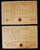 1828-1832 A szekszárdi káptalani iskola 4 db latin nyelvű évvégi bizonyítványa, a káptalan rányomott...