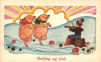 New Year, pigs, s: Gyulai
