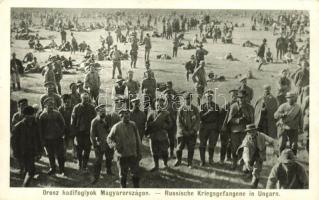 Orosz hadifoglyok Magyarországon, Alexy felvétele / Russian prisoners of war in Hungary (Rb)