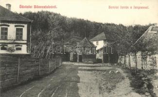 Bibarcfalva, Biborczfalva (Barót) Borvízi forrás, fenyves / mineral fountain