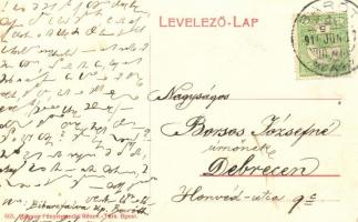 Bibarcfalva, Biborczfalva (Barót) Borvízi forrás, fenyves / mineral fountain