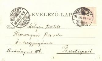 1898 Kolozsvár, Nagy utca torkolata / street by river Szamos