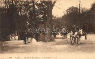 Paris, Le Bois de Boulogne, Les Acacias, horse 