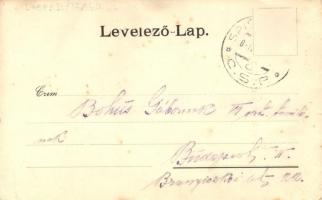 Szepestótfalu, Tótfalu; Mattyasovszky-kastély / castle (fl)