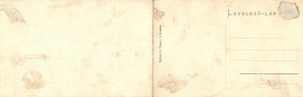 Léva, Kossuth tér 1902-ben és 1910-ben; Nyitrai és Társa Rt. kiadása / Kossuth square then and now; ...