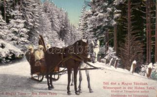 Tátra, Téli élet; Klotild út Tátraszéplak mellett / winter sports, sleigh carriage