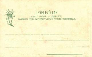 Felka, Katolikus templom, Krompecher-féle turistatelep; Feitzinger Ede / church, tourist house (fl)