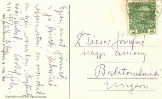 Ivano-Frankivsk, Stanislawów; Ul. Karpinskiego; nakl. E. Schreiera / Karpinski street