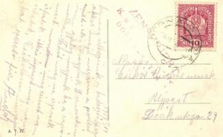 Dornavatra, Vatra-Dornei; Waldparkhotel