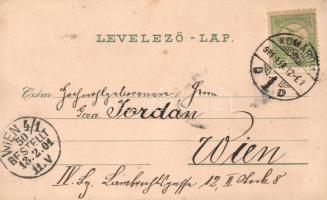 Komárom, Komorn, Karl Schwidernoch litho