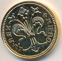 DN "Magyar Kincstár / Károly Róbert arany forint" aranyozott réz-cink emlékérem (20mm) T:PP Tanúsítvánnyal.