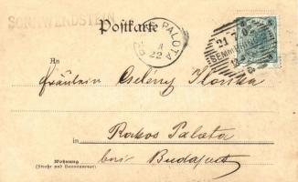 Sonnwendstein, Friedrich Schüler Alpenhaus / alpine house