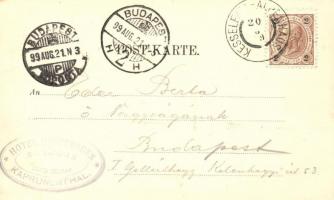 1899  Kesselfall-Alpenhaus, Schloss Kaprun; Verlag Würthe & Sohn / alpine house, castle; floral