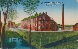 Békéscsaba - 14 db régi képeslap / 14 old postcards