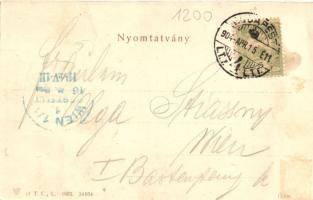 Budapest, Erzsébet híd panoramacard (hajtásnál szakadt / bent til broken)