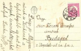 New Year, pigs litho