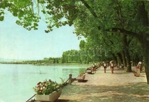 Kb. 157 db MODERN magyar városképes lap pár nagy méretű lappal / Approx 157 modern Hungarian town-vi...