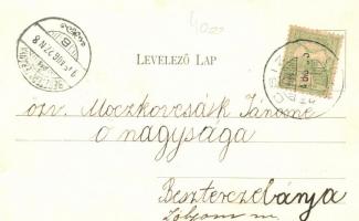 Csízfürdő, Margit pensio; Fogel Mór kiadása