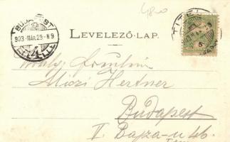 Titel, Vasútállomás, hajóhíd, fő utca az Anker szállodával / railway station, pontoon bridge, hotel ...