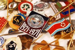 Nagy zacskónyi szocreál jelvény tételben