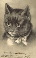 Cat, Emb. litho