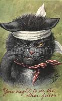 'You ought to see the other fellow' cat; German American Novelty Art Series 710. s: Arthur Thiele