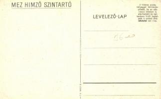 Mez himző színtartó / Hungarian embroidery requisites, advertisement