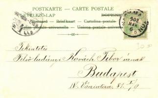 Bug, spiderweb; floral litho