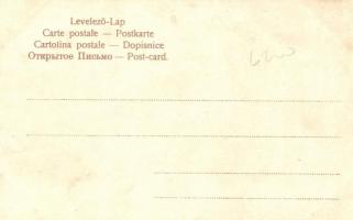 Sátras cigányok Erdélyben, Zigeunerlager / gypsy camp, Transylvania, folklore