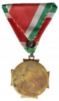 1923. "Legénységi Szolgálati Díszérem" ezüstözött bronz kitüntetés mellszalagon T:2
Hungar...