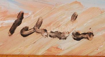 Schéner Mihály (1923-2009): Mediterrán város. Olaj, farost, jelzett, keretben, 50×70 cm