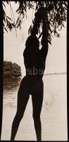 cca 1980 Dunai hableány alkonyati sziluettje, finoman erotikus fénykép, 31x15 cm / cca 1980 Erotic photo, 31x15 cm