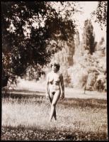 cca 1980 Az Édenkertben, finoman erotikus fénykép, 24x18 cm / cca 1980 Erotic photo, 24x18 cm