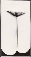 cca 1980 Virágszál, finoman erotikus fénykép, 23x13 cm / cca 1980 Erotic photo, 23x13 cm