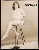 cca 1960 Erik Schwarz (Köln): Jasmine, a sztriptíz táncosnő, finoman erotikus bemutatkozó fénykép munkavállaláshoz, 24x19 cm / cca 1960 Erik Schwarz (Köln): Jasmine, erotic photo, 24x19 cm