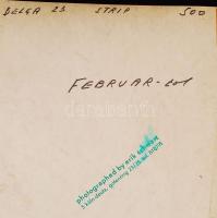 cca 1960 Erik Schwarz (Köln): Jasmine, a sztriptíz táncosnő, finoman erotikus bemutatkozó fénykép mu...