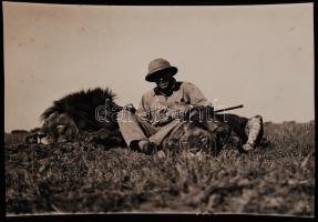 1934 Széchenyi Zsigmond (1898-1967) vadász és író, afrikai vadászaton elejtett két oroszlánnal, későbbi másolat az eredeti üveglemezről, 13x18 cm