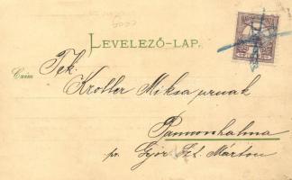 Millenniumi banderium; Rigler József Ede papírnemű Részvénytársaság