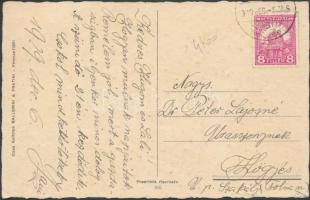 Ballerini & Fratini 316. Italian art postcard, lady with dog s: Chiostri