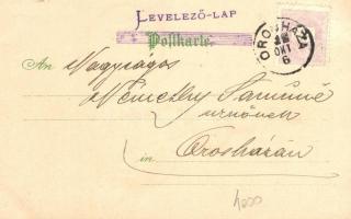 1899 Im XX. Janhrhundert; E. A. Schwerdtfeger & Co.  No. 3222 / cyclist lady, litho