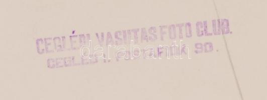 cca 1950 A grund lakói, jelzetlen fotóművészeti alkotás a Ceglédi Vasutas Foto Club anyagából, 24x18...