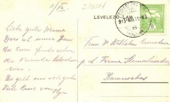 Bihardobros, Igazgatói lak / director's residence