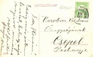 Érmihályfalva, Főtér, Grósz Hermann kereskedése / main square, shop