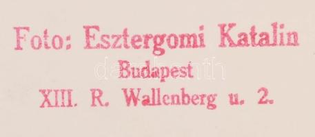 cca 1970 Esztergomi Katalin: Dunaújvárosi vasmű, pecséttel jelzett fotóművészeti alkotás, 17x24 cm