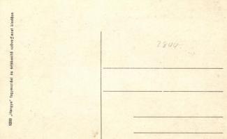 Szigliget, Vár a kastéllyal