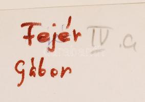 1973 Fejér Gábor: Portré, feliratozva, 23x17 cm