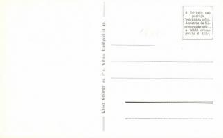 Budapest XI. Fadrusz utca 6. Steiner József és neje bérháza