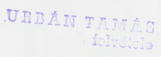 cca 1970-1980 Urbán Tamás portré felvétele, pecséttel jelzett vintage fotó, 21x18 cm